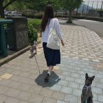 スニーカーを履く女性